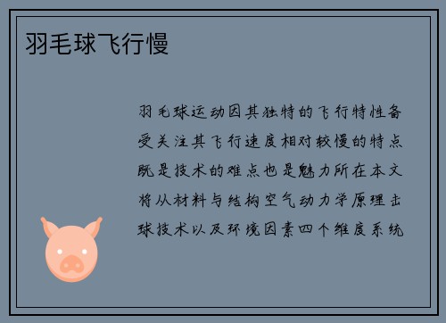 羽毛球飞行慢